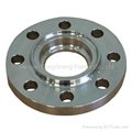 Stainless Steel Flange 2