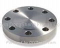 Stainless Steel Flange 4