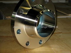 Welding Neck Flanges