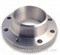 ANSI B16.5 Flanges 1