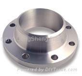 ANSI B16.5 Flanges