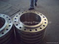 ANSI B16.5 Flanges 5