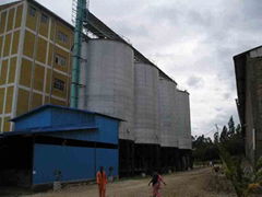 500T flour milling plant