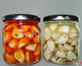 Jar marinated(spicy) garlic series 3