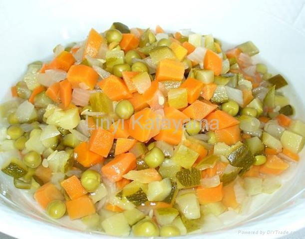 Sliced cabbage/Mixed vegetable 3