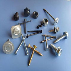 screws