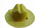 cowboy hat 3