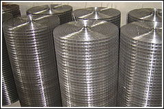 Welded wire mesh 