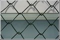 Welded wire mesh  2