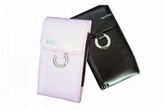 NDS Lite case