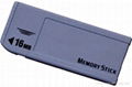 Memory Stick 1