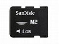 Memory Stick Micro(M2)