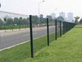 Fencing Netting