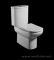 two-piece toilet 1