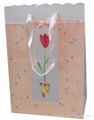 Gift Bag