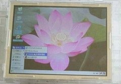 TFT LCD Panel