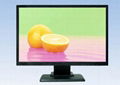 19 inch wide view monitor