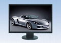 19 inch wide view monitor