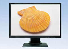 220 inch wide view monitor