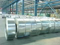 hot dip galvanized steel strip