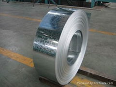 hot dip galvanized steel coils