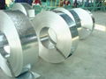 hot dip galvanized steel coils 2