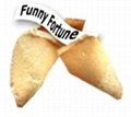 funny fortune cookie 1