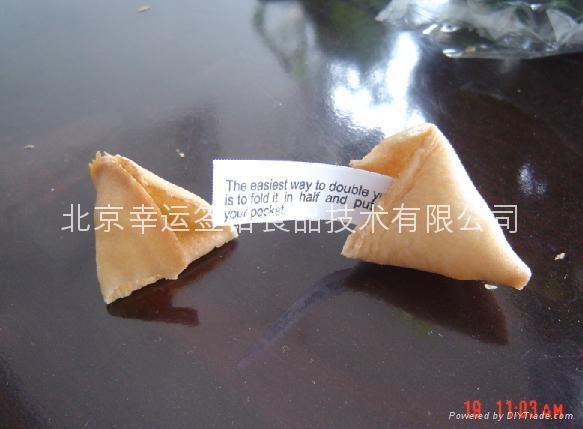 Chocolate Fortune Cookies 2