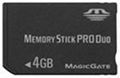 Memory Stick