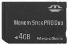 Memory Stick