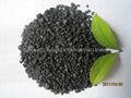 Potassium Humate 3