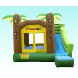 inflatable bouncy castle