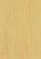 KD Prefinished Natural Veneer (Maple)