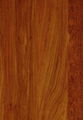 KD Prefinished Natural Veneer (Padauk)