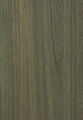 KD Prefinished Natural Veneer (Paulownia)