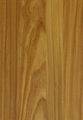 KD Prefinished Natural Veneer (Golden