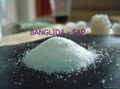 Super absorbent polymer - SAP for baby diaper- Quanzhou Banglida 3