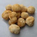 monkey-head mushroom extract(sales6 at lgberry dot com dot cn)