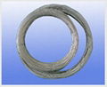 Titanium Wire