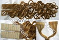 100% Human Hair Clip in Extension 4