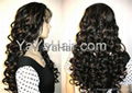 Human Hair Lace Wig 1