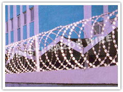 spiral type razor barbed wire  2