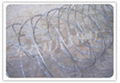 crossed type razor barbed wire  4