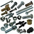 Auto Hardware Screw Nut