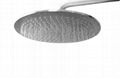 Stainless Steel Shower Head 1