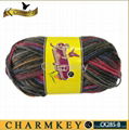 Nylon / wool Blended yarn for knitting (CK285-B)