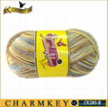 Nylon / wool Blended yarn for knitting (CK285-B) 2