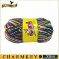 Nylon / wool Blended yarn for knitting (CK285-B) 3