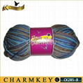 Nylon / wool Blended yarn for knitting (CK285-B) 4