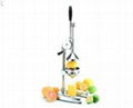 PRO Restaurant Juicer 1